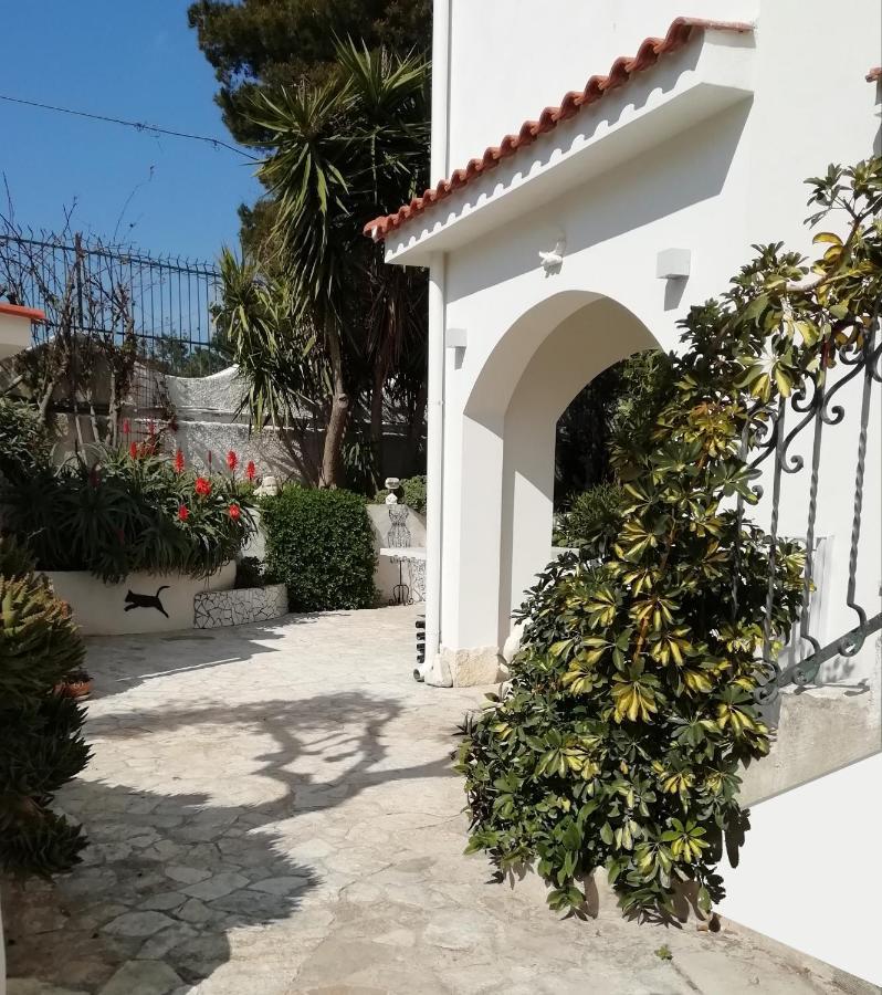 B&B L'Altare Bianco Vieste Exteriör bild