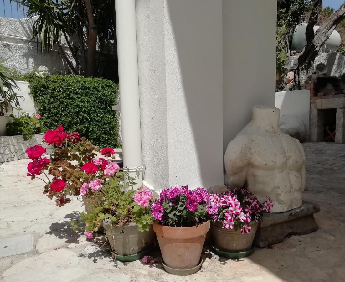 B&B L'Altare Bianco Vieste Exteriör bild